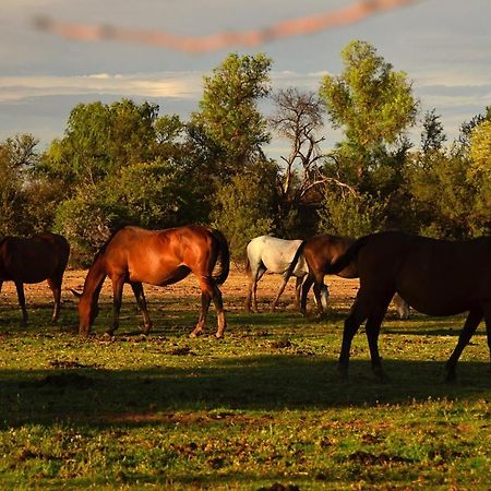 Вілла Beaconsfield Farm Hofmeyr Екстер'єр фото