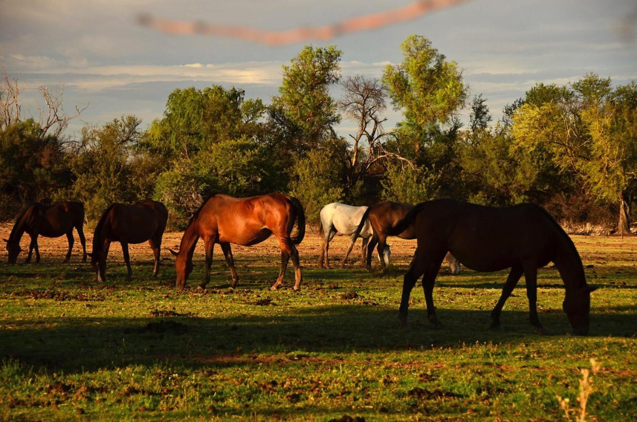 Вілла Beaconsfield Farm Hofmeyr Екстер'єр фото