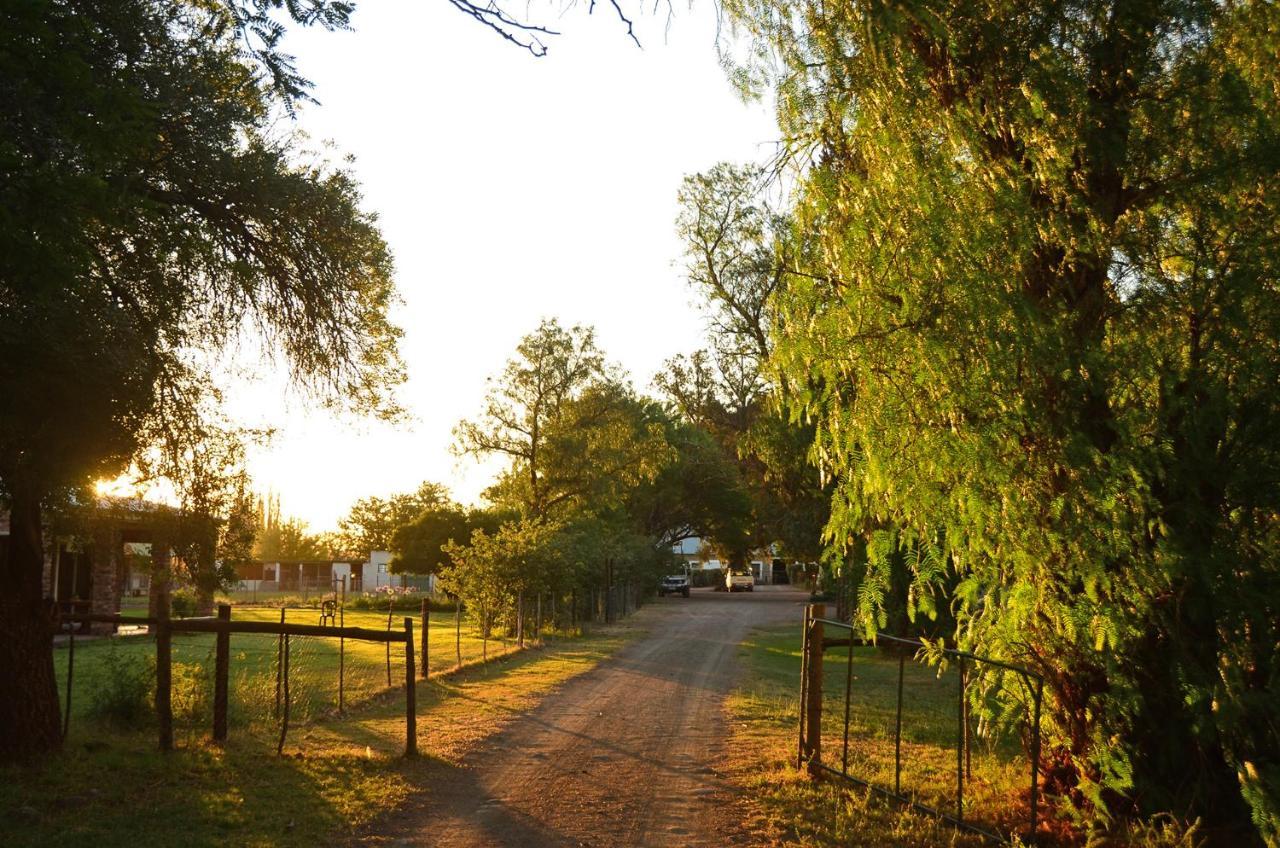 Вілла Beaconsfield Farm Hofmeyr Екстер'єр фото